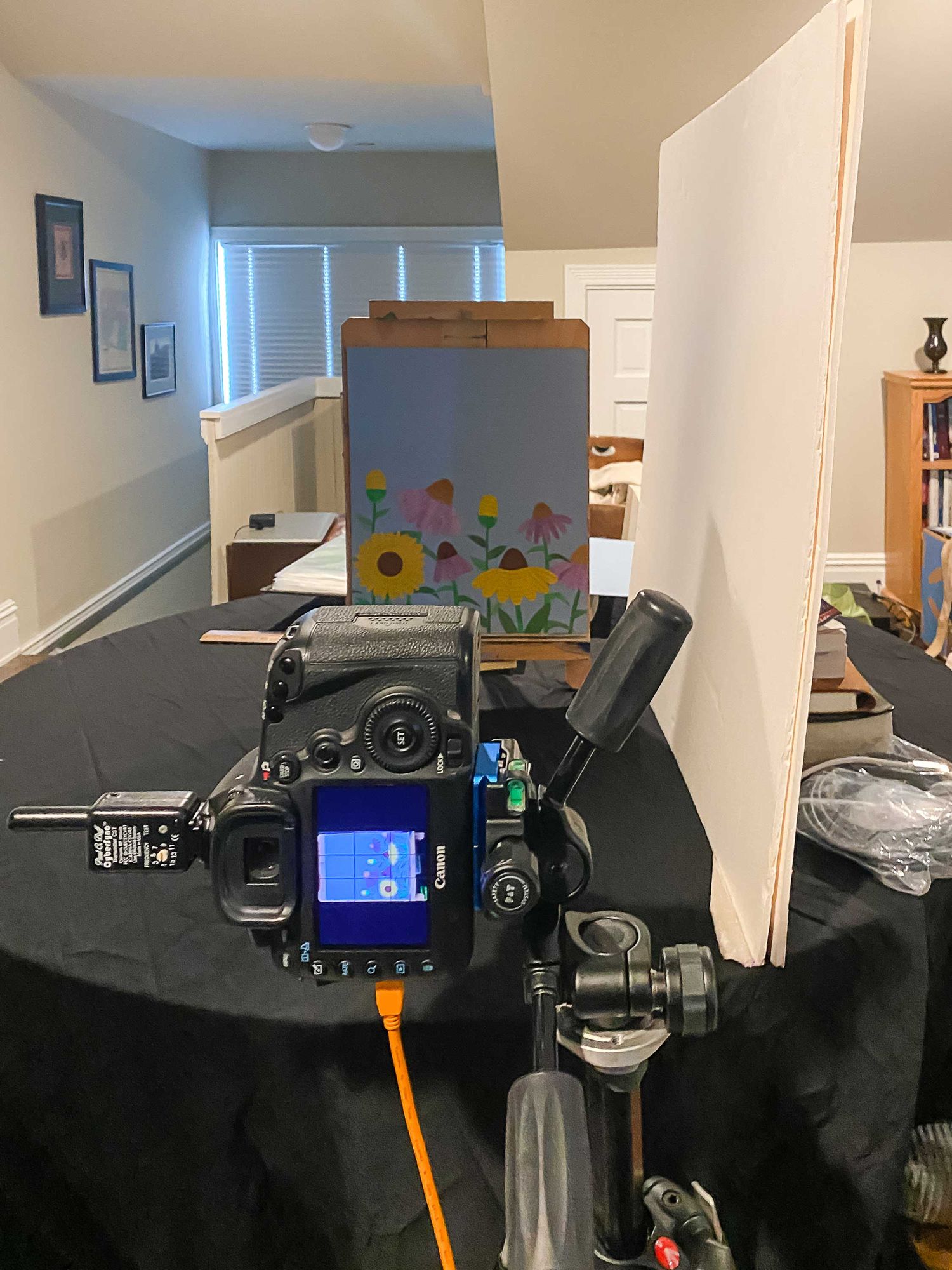 behind the scene set up