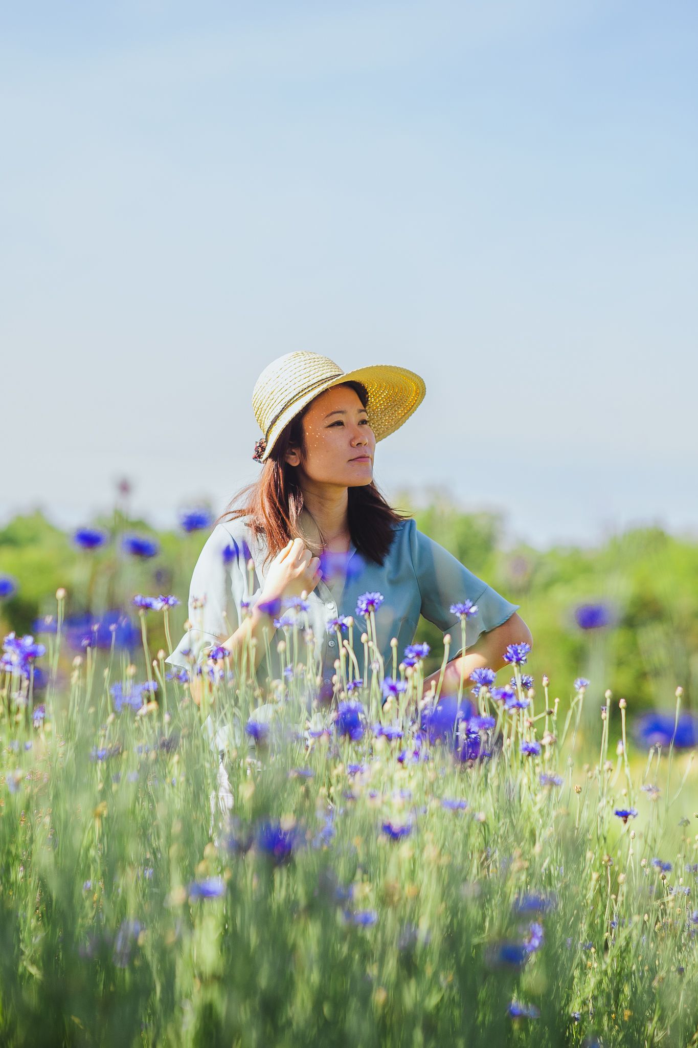 Person in a sunhat sits among blooming blue wildflowers in a sunny meadow.