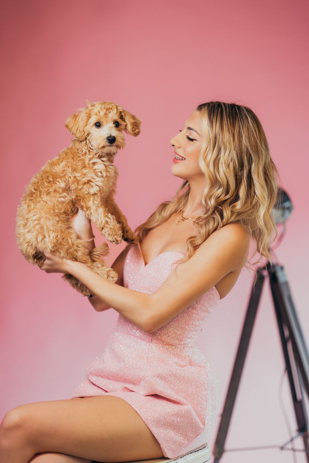 Lifestyle portrait with golden doodle puppy against pink studio backdrop.