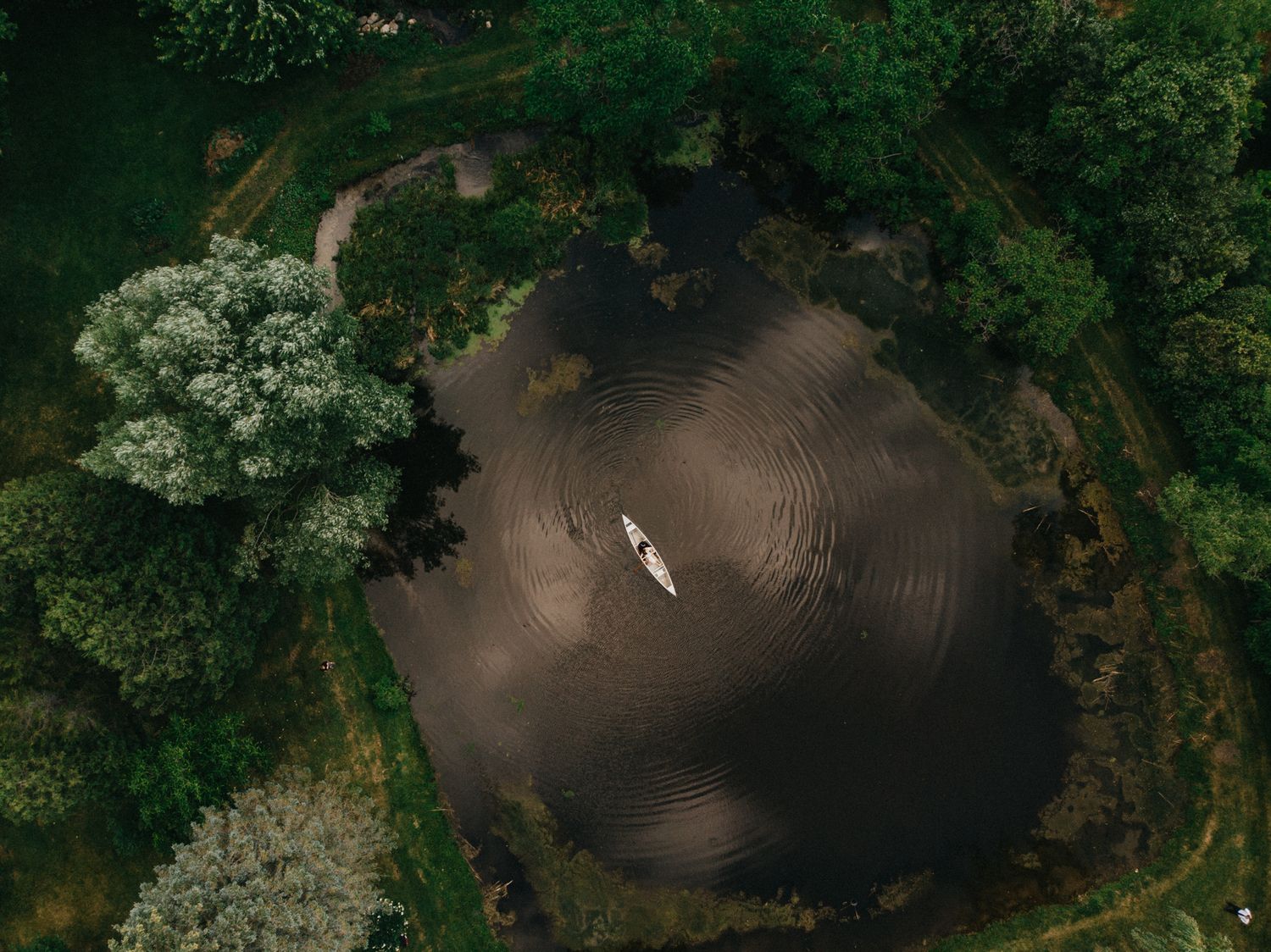 Aerial view of a lush green garden with circular pathways and white flowering trees.