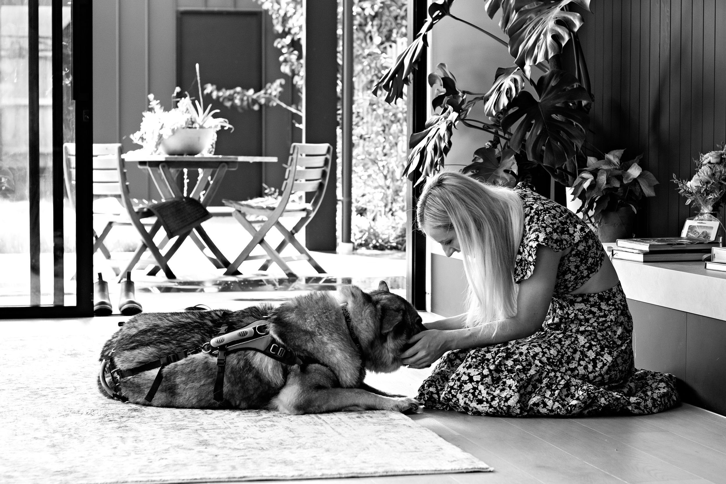 End-of-life pet photographer melbourne