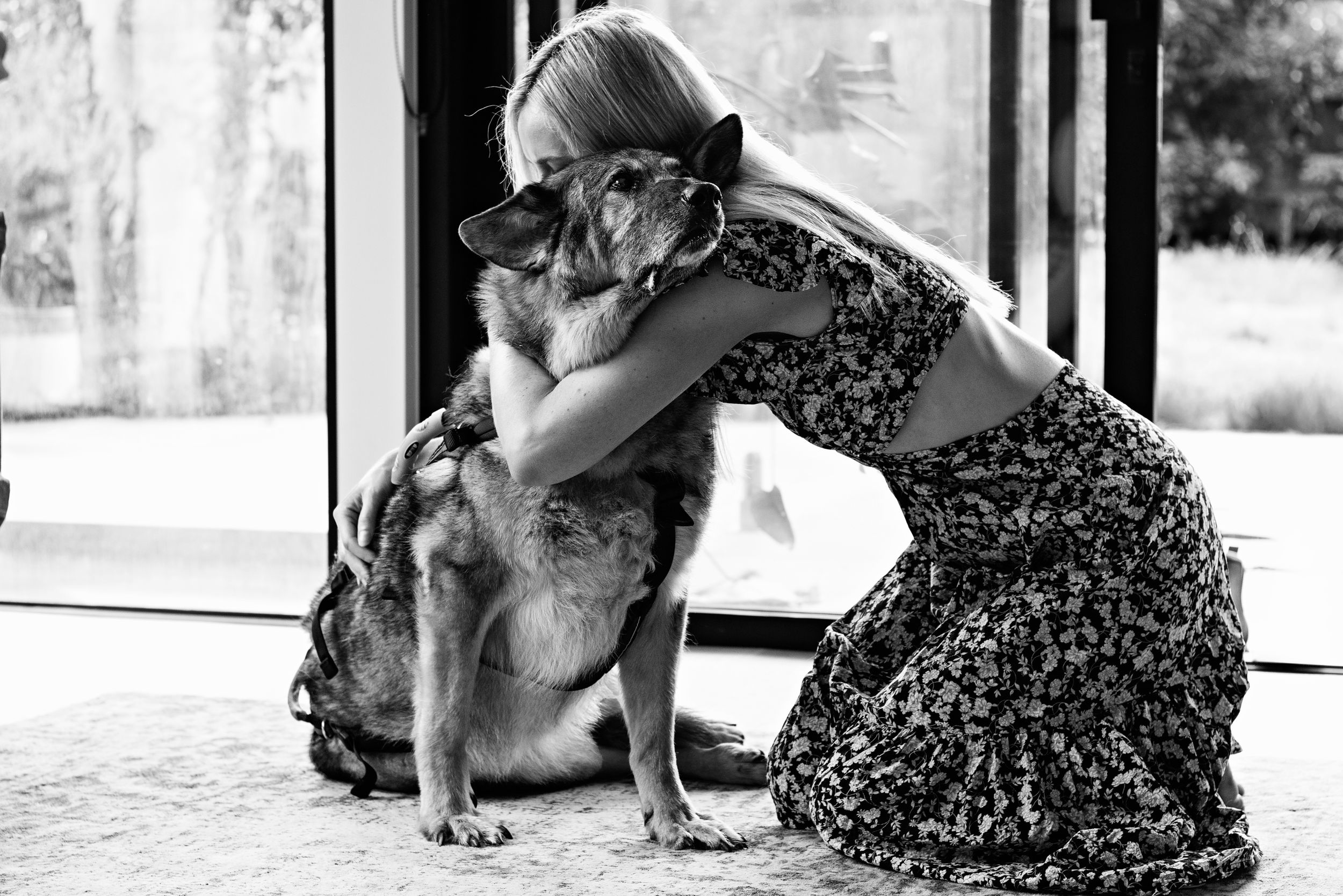 End-of-life pet photographer melbourne