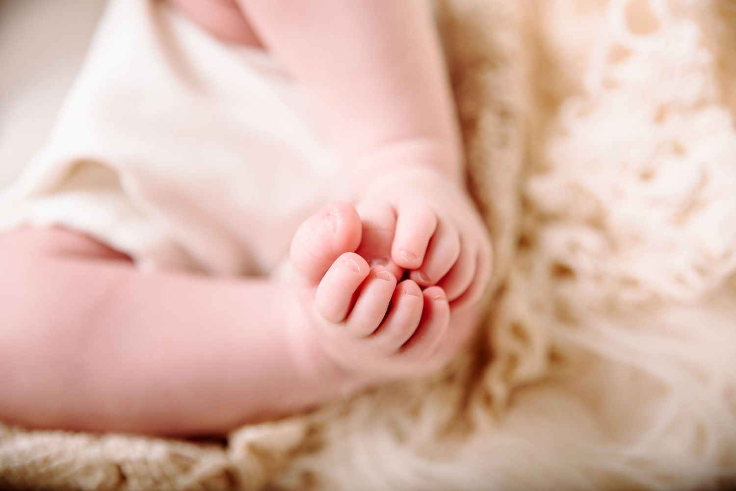 Winter Haven Newborn Photographer