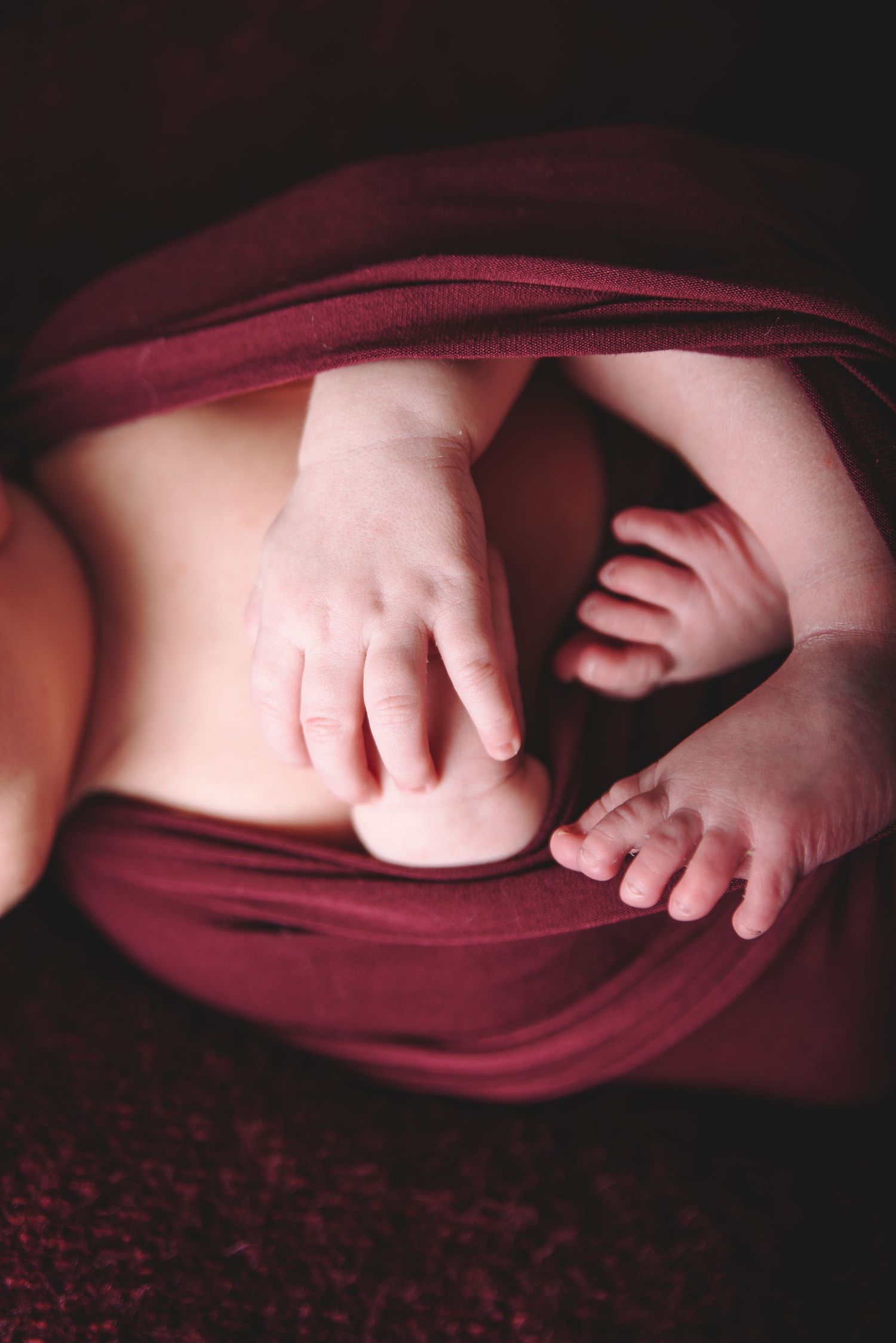 Lakeland Birth Photographer