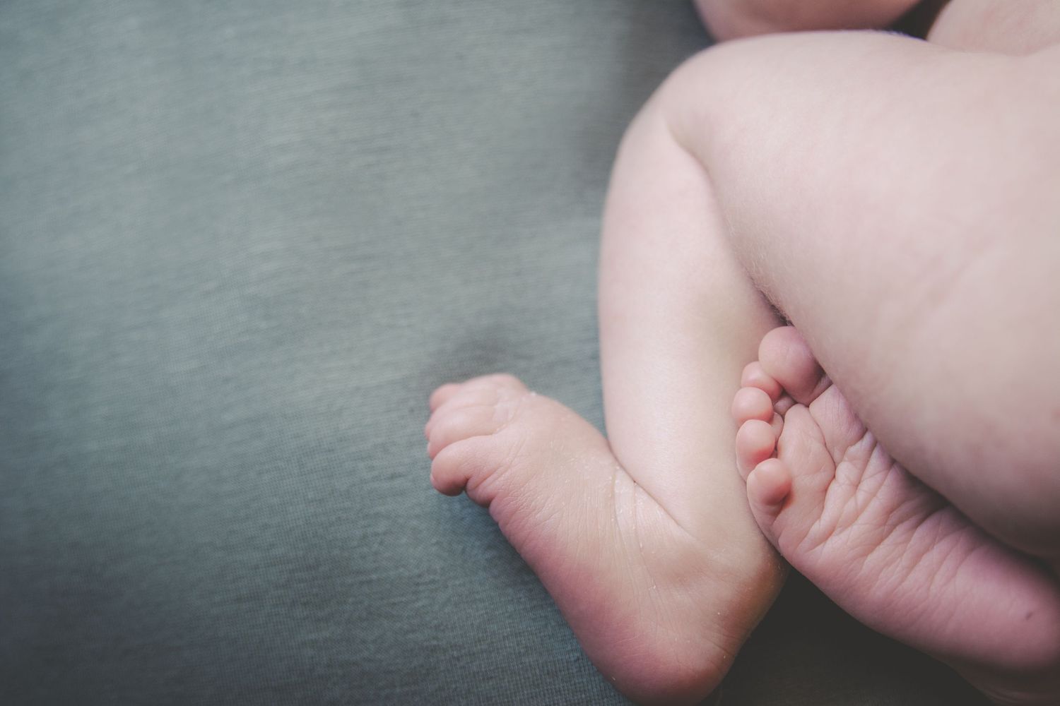Winter Haven Newborn Photographer