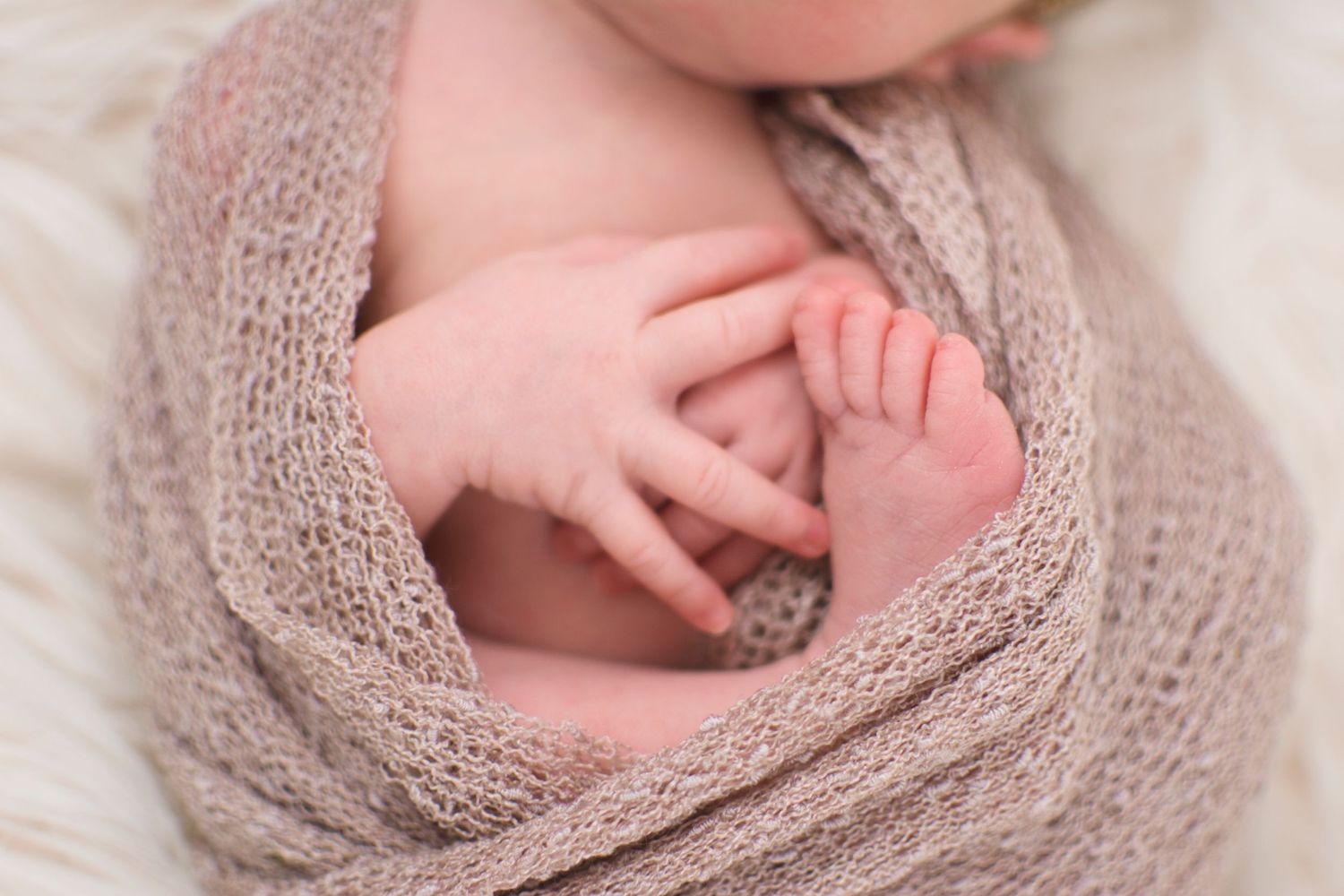 Lakeland Newborn Photographer