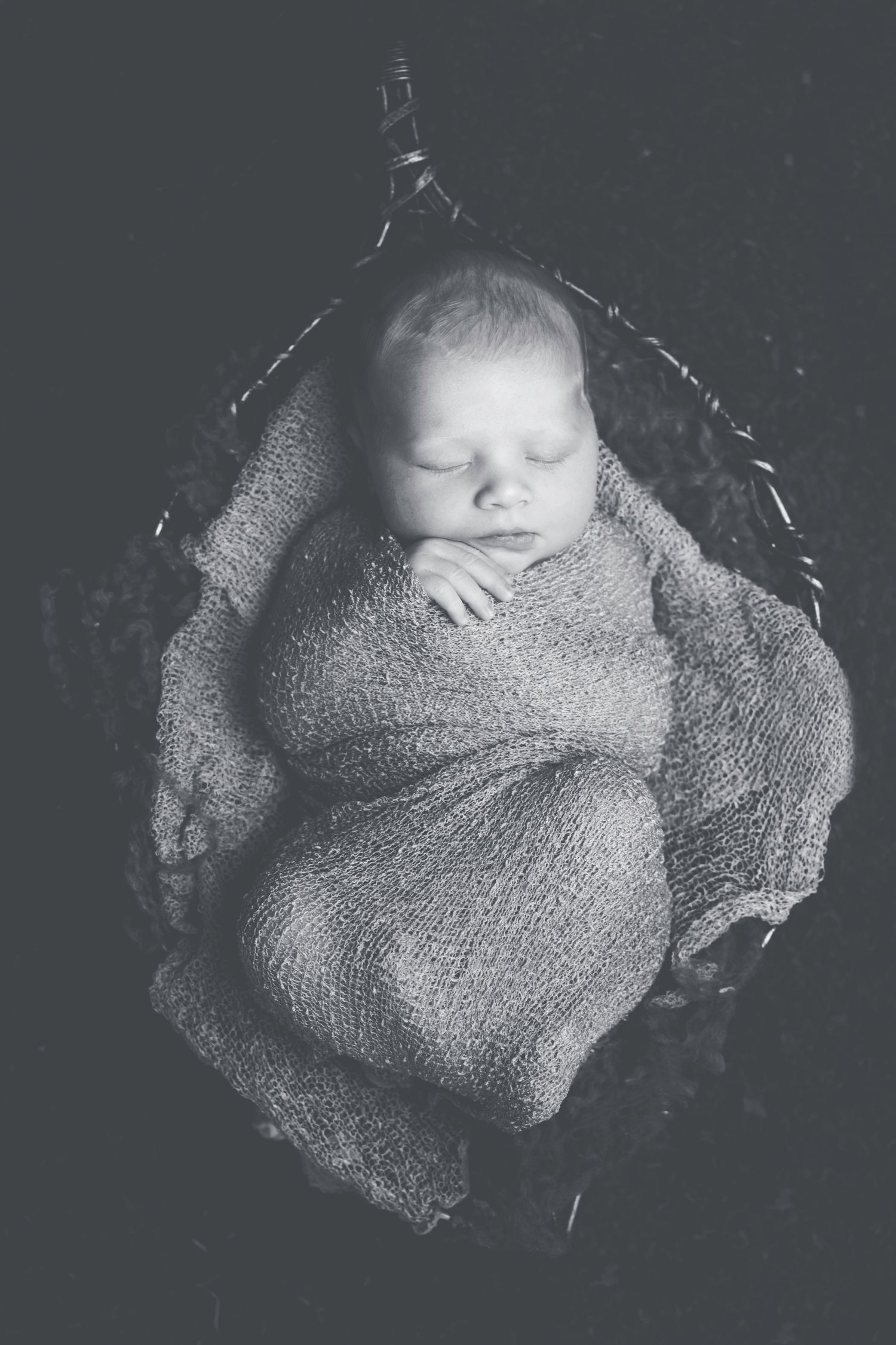 Central Florida Newborn Photography