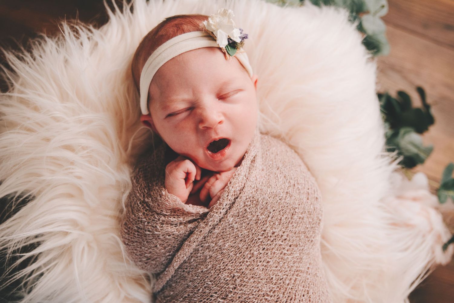 Lakeland Newborn Photographer