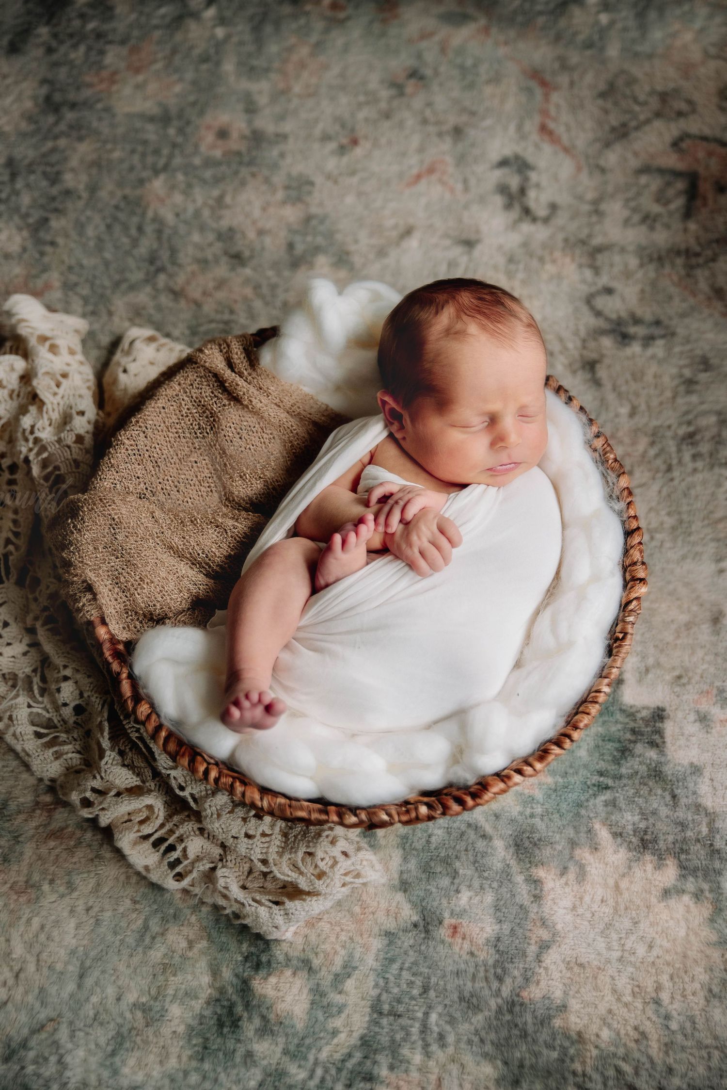 Winter Haven Newborn Photographer