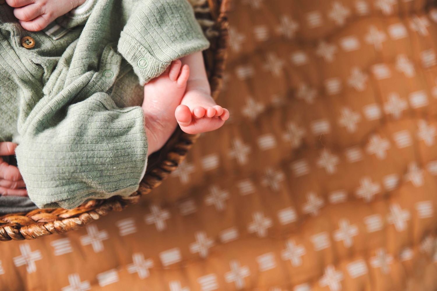 Lakeland Newborn photographer