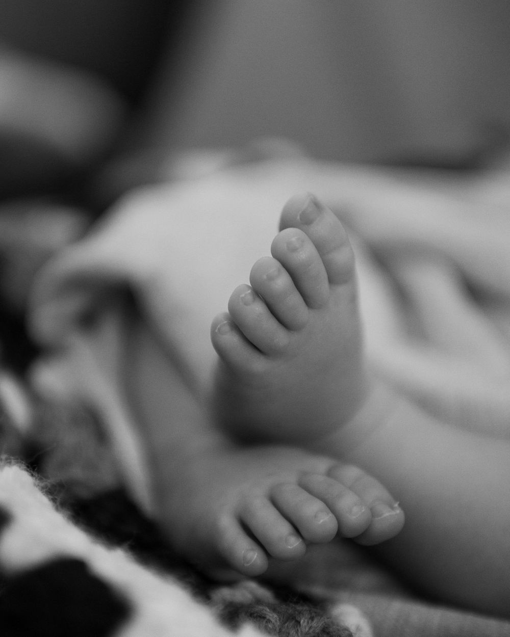 Gunnii Sack Photography, newborn photos, Amador County Photographer