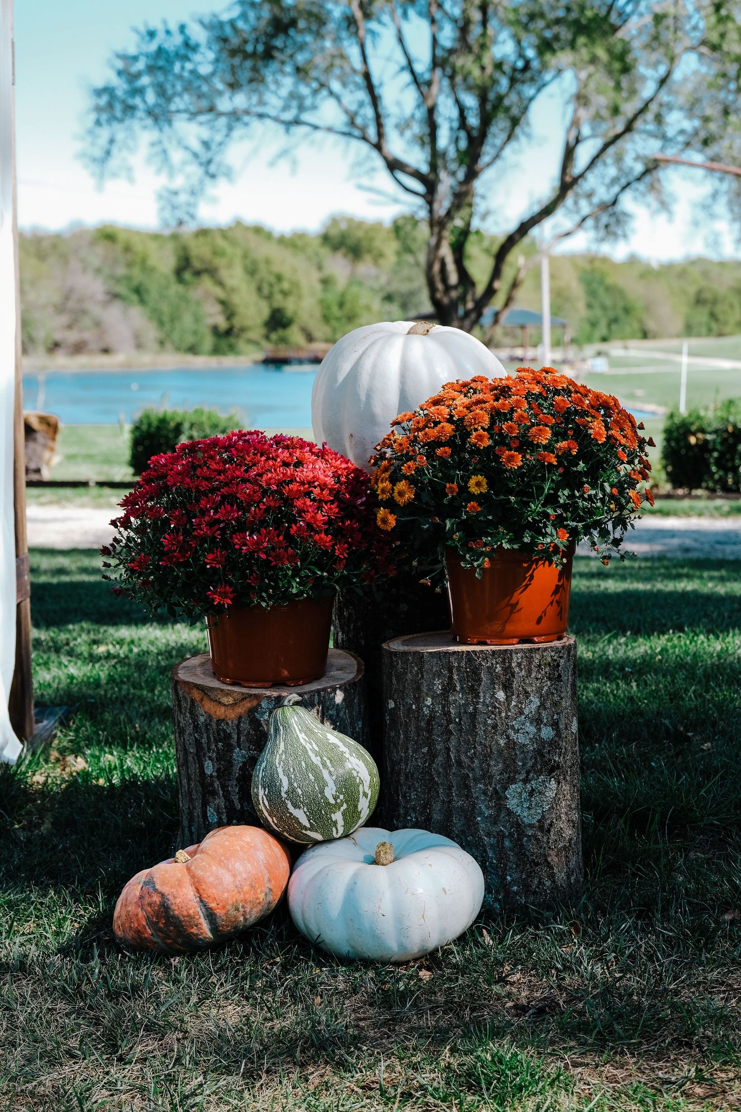 Mums flowers and pumpkins at a fall wedding in Springfield, Missouri.