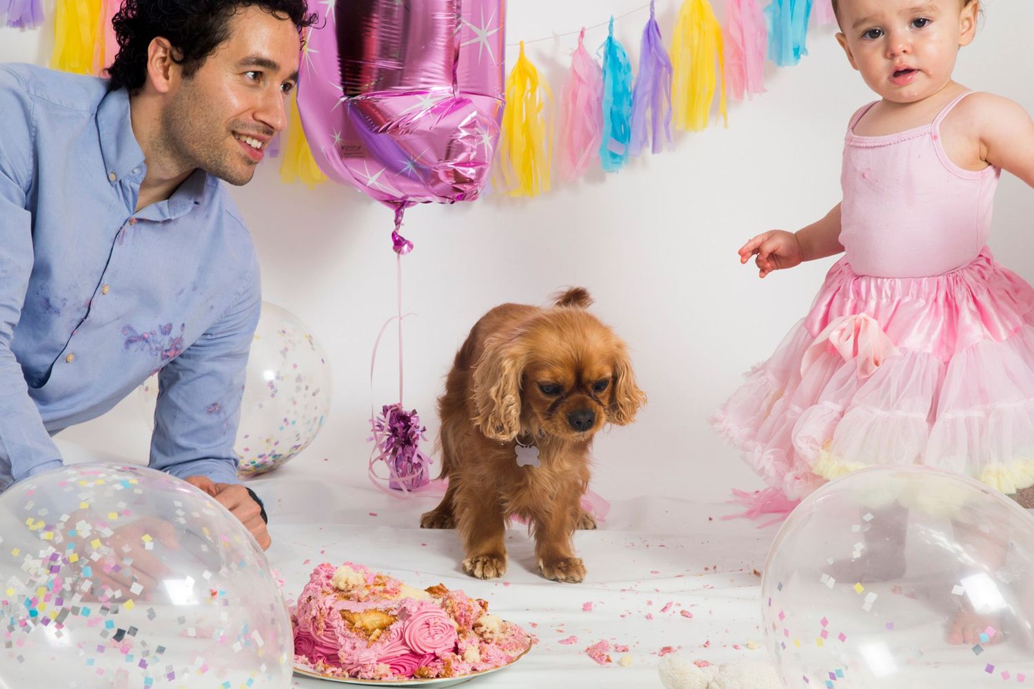 A birthday celebration scene with a small dog exploring a smashed cake amid colorful decorations.