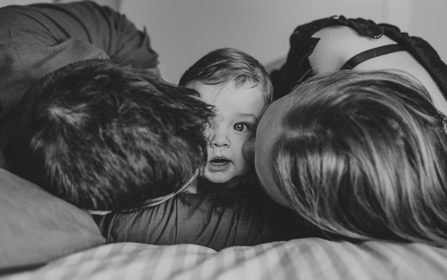 Newborn photography auckland