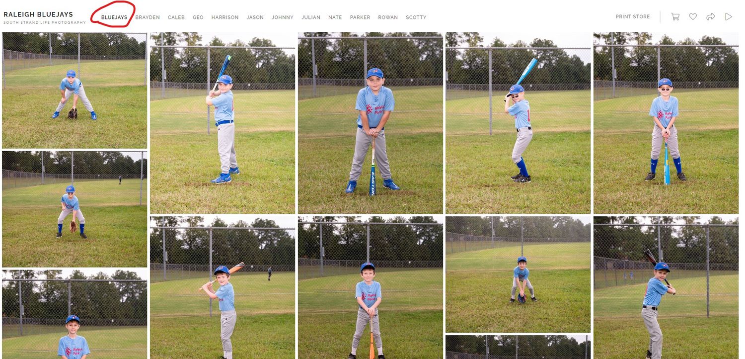 Grid of baseball batting stance photos showing proper form and technique on a grassy field.