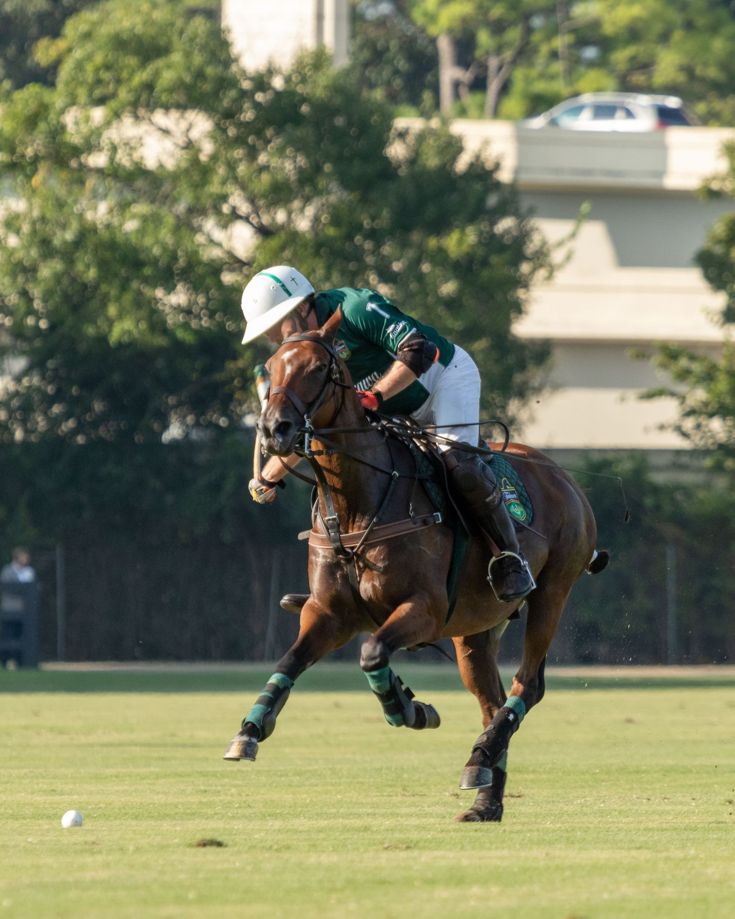 Polo