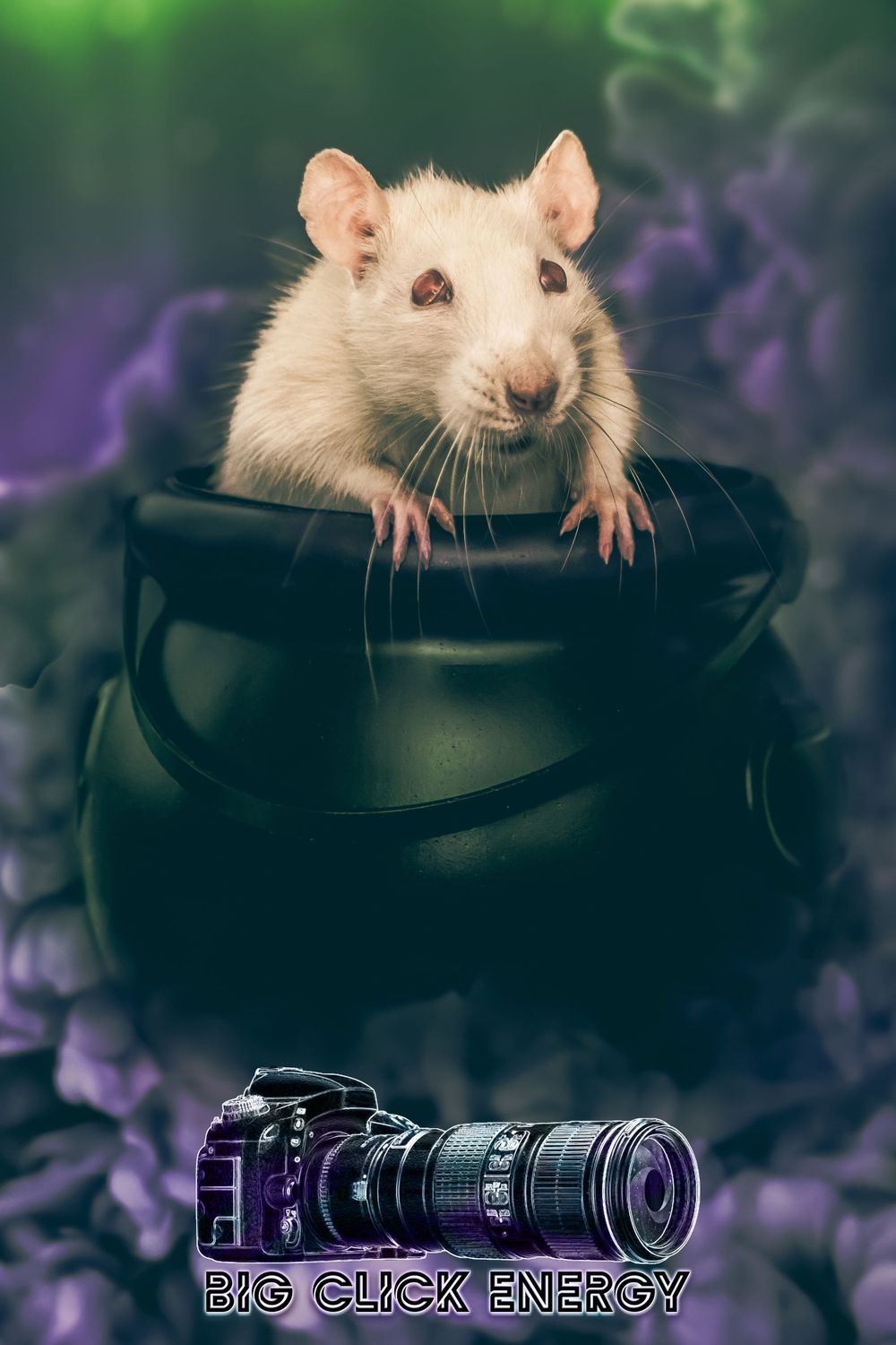 Albino rat with red eyes sitting in a small witch's cauldron, surrounded by purple and green smoke, captured in a pet photoshoot indoors in