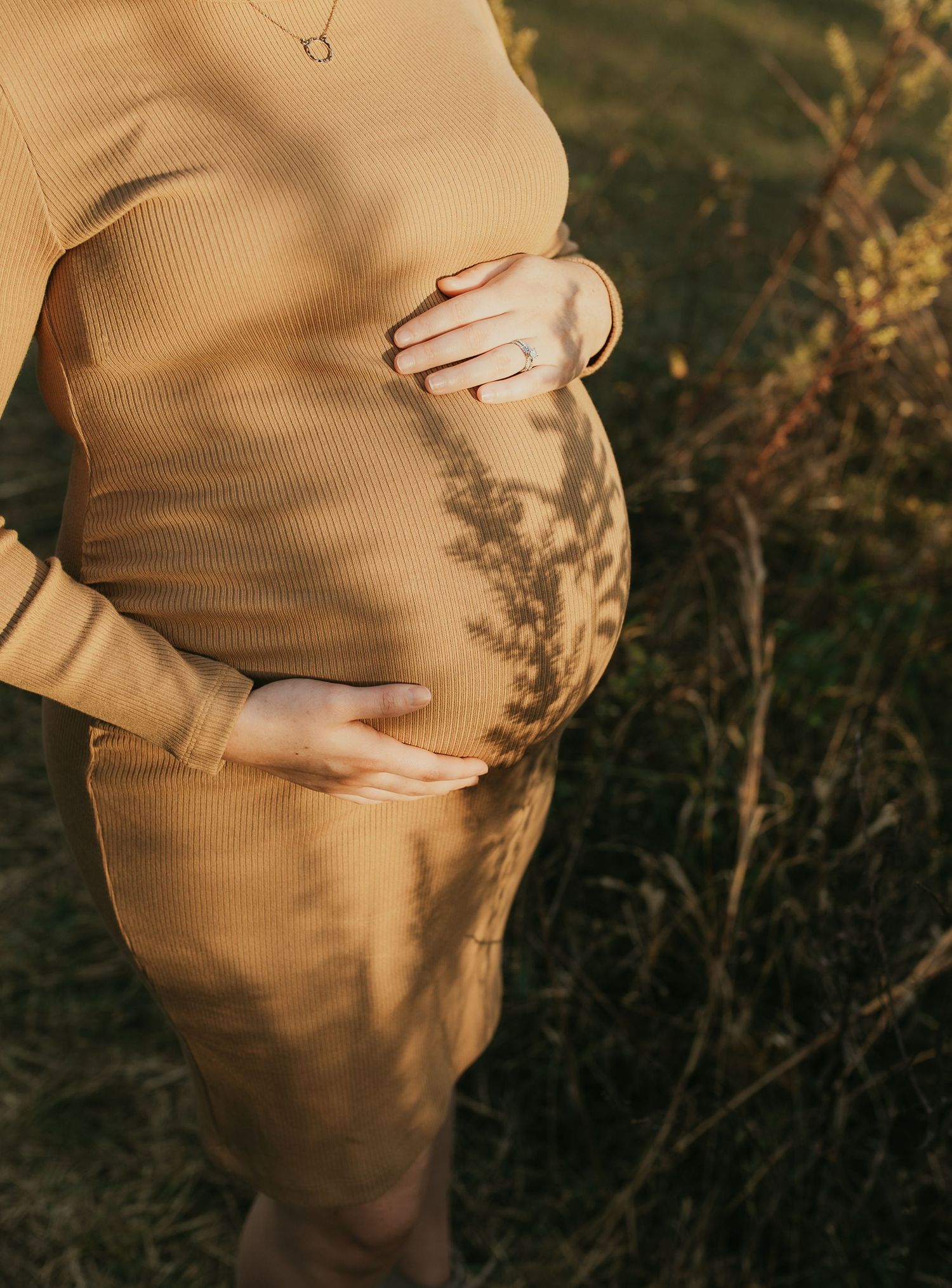 Knoxville Maternity Photographer