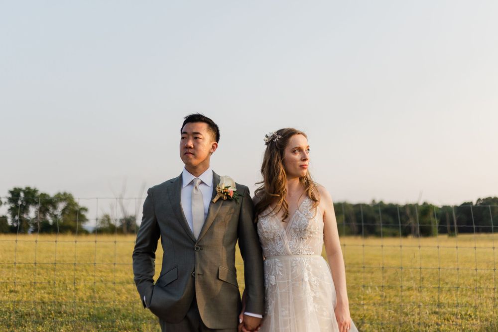 A newlywed couple poses in formal attire in a golden summer field. Puesta Del Sol Farm West Virginia WV Wedding