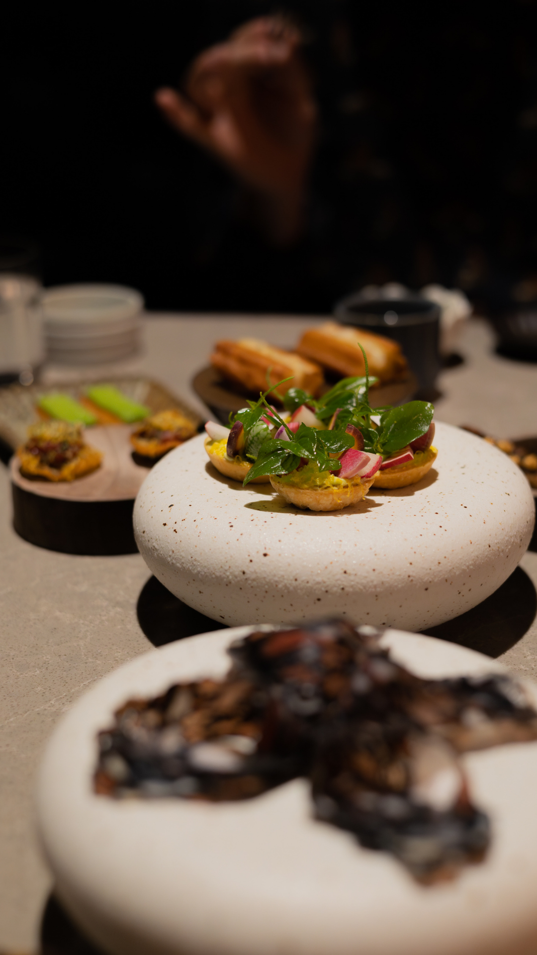 Elegant plating of canapés on white stone platforms with various garnishes and side dishes.