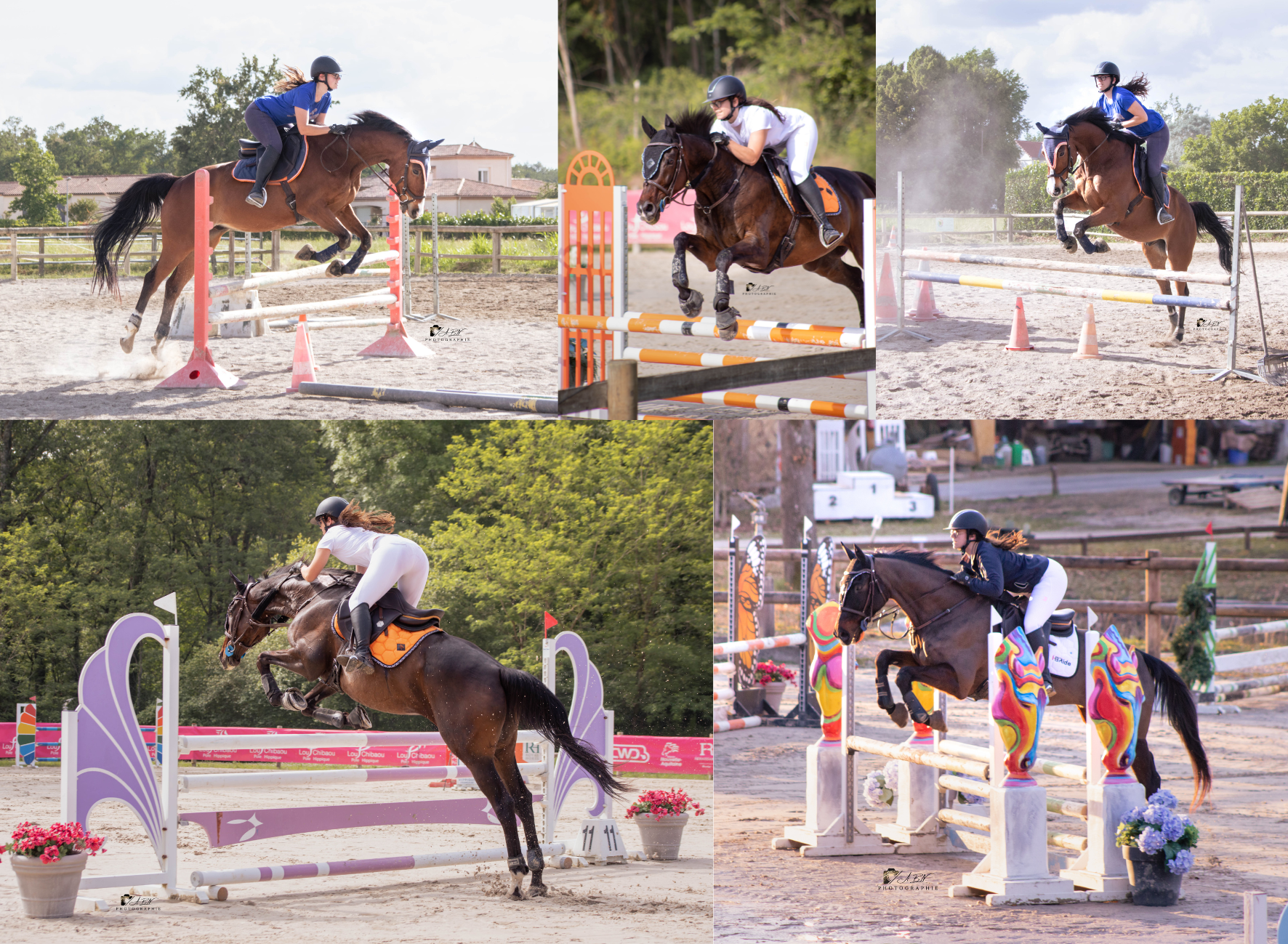 photographie équestre obstacle, cso lot et garonne