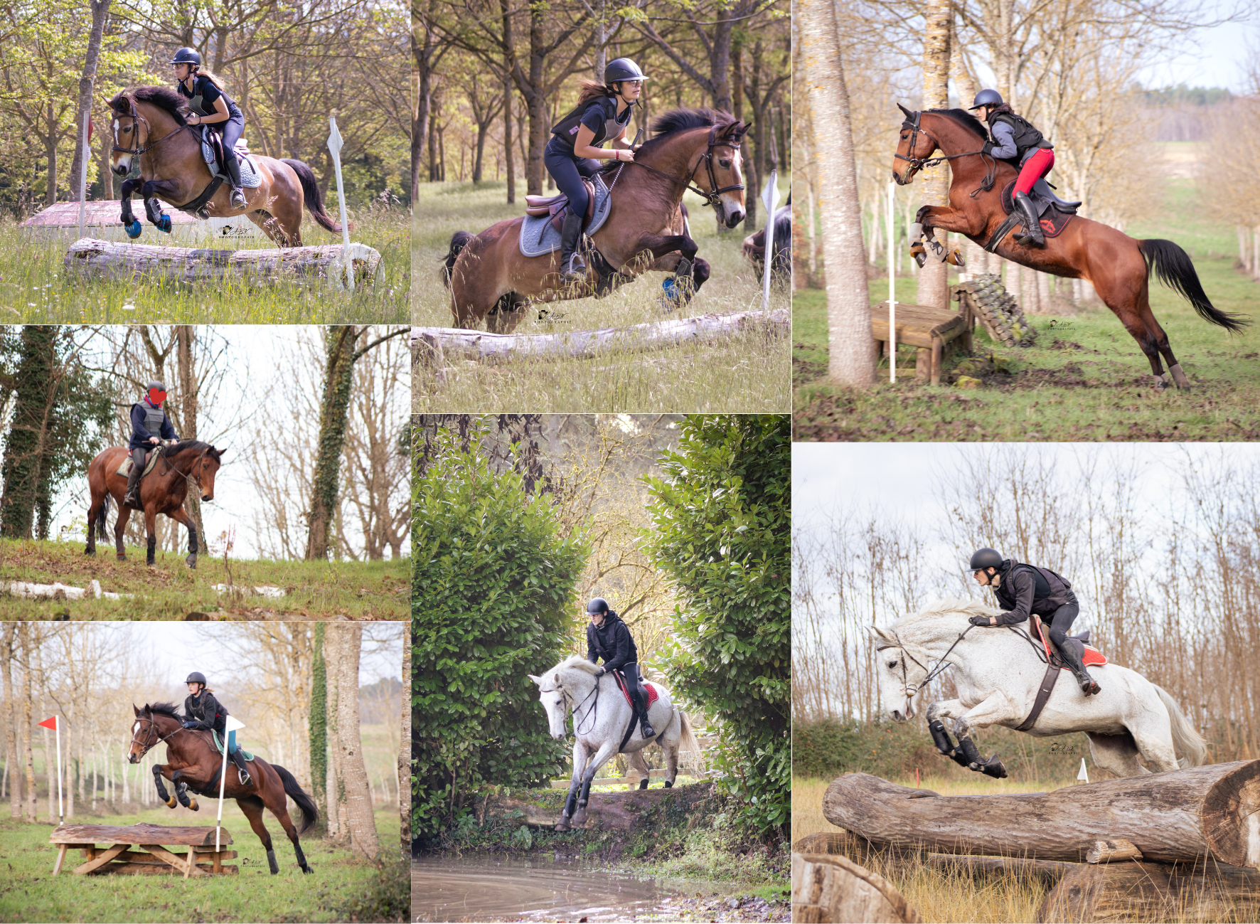 photographie équestre cross lot et garonne