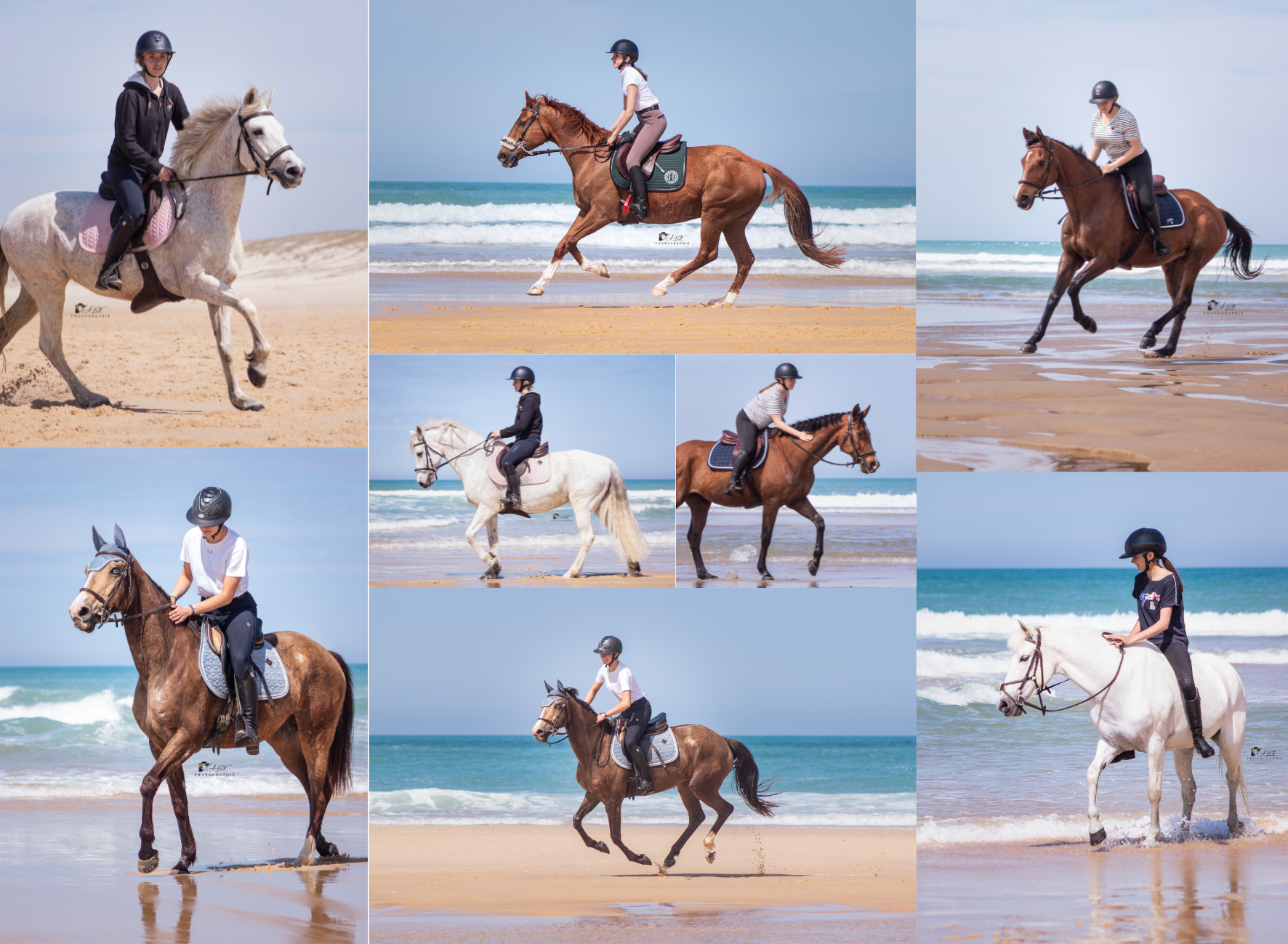 photographie équestre sortie plage