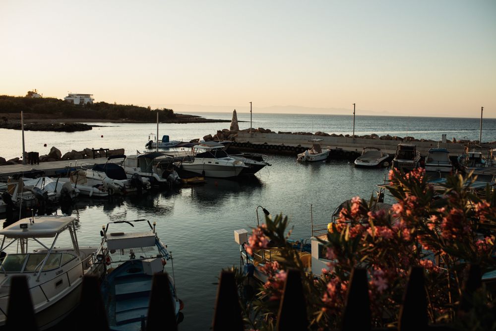 A serene marina at sunset with boats docked along calm waters and pink flowers in the foreground.