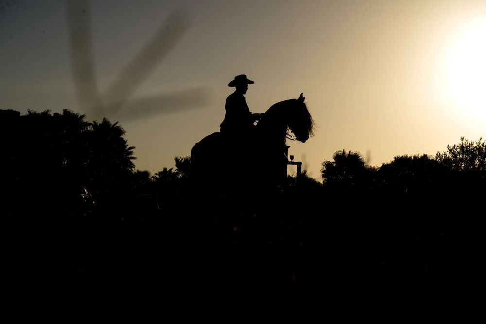 silhouette of a man riding a horse. McAllen wedding photographers