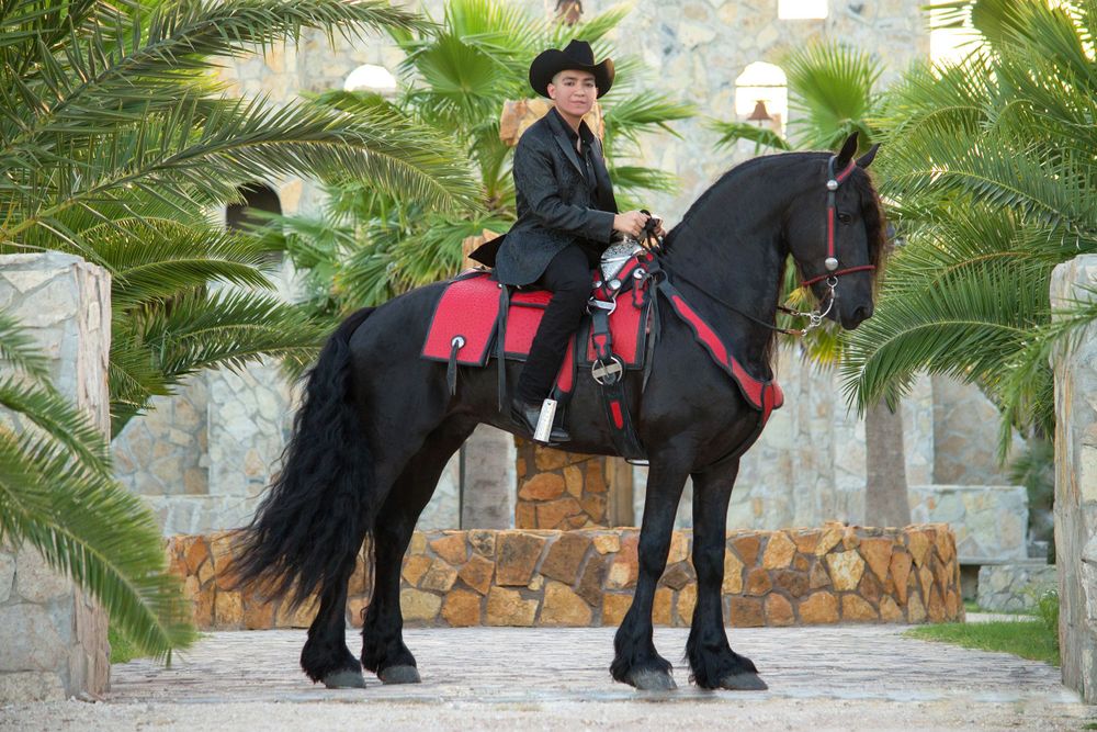 guy posing with his horse at the hacienda el campanario. mission texas