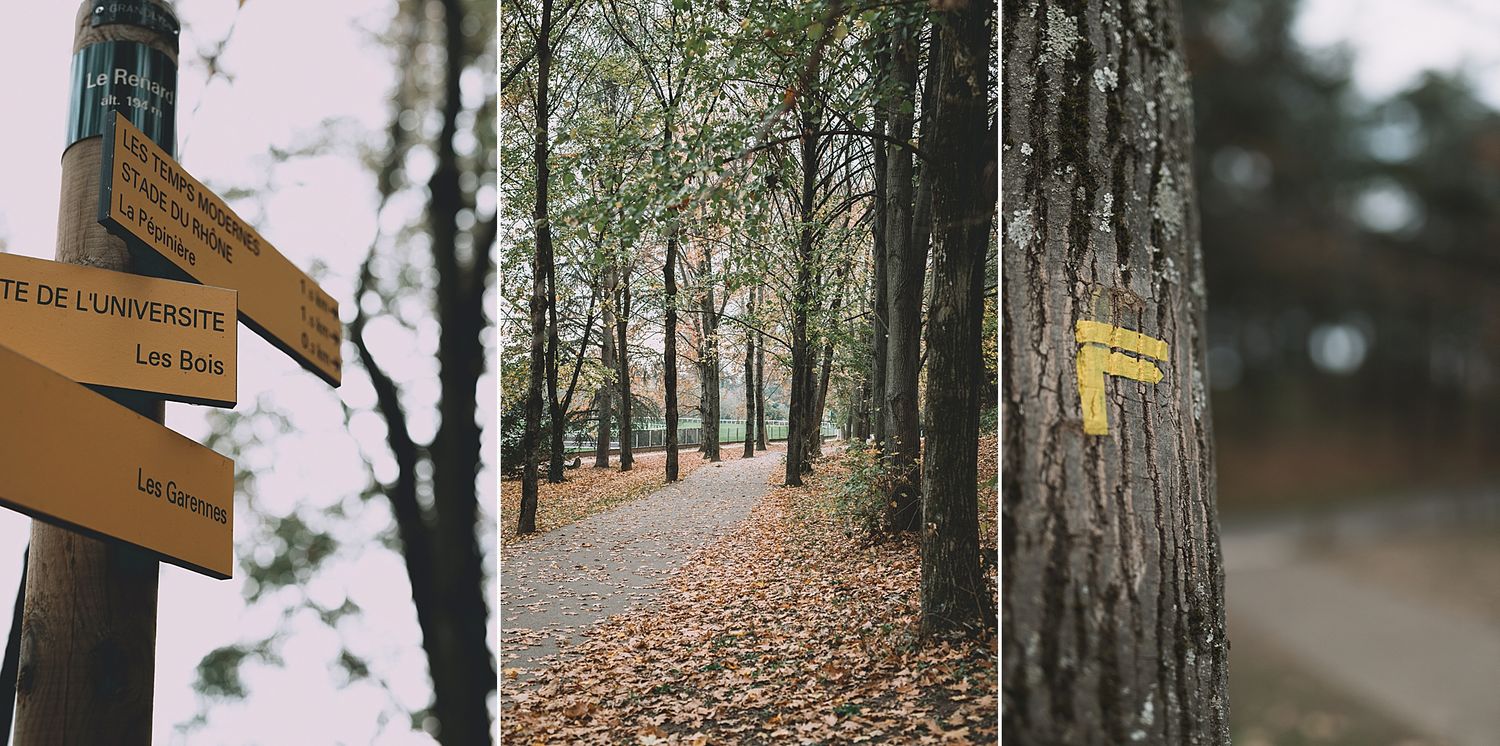couleurs d'automne celine.s Photography