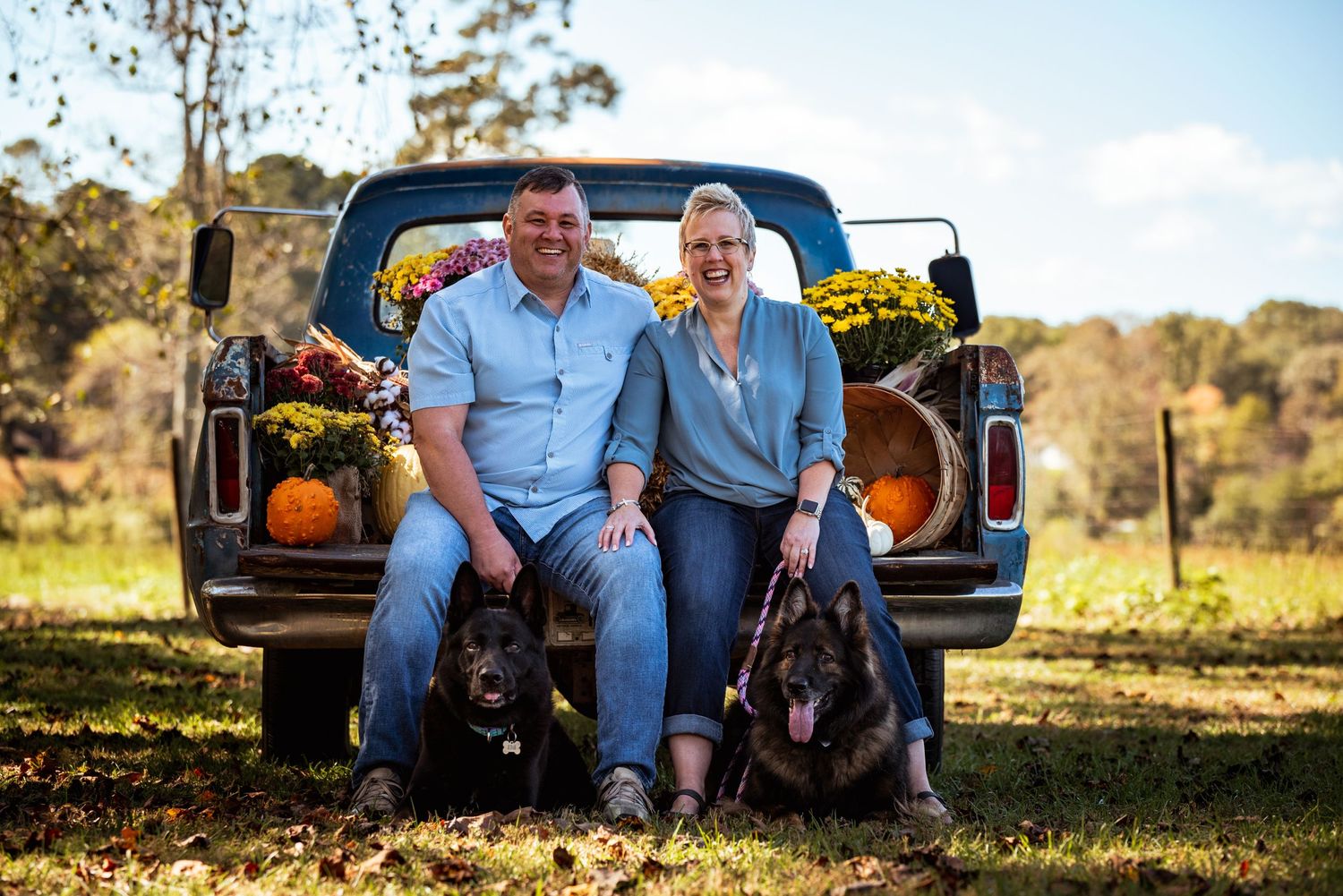 couple sitting in the bed of a fall decorated truck with their german shepherds