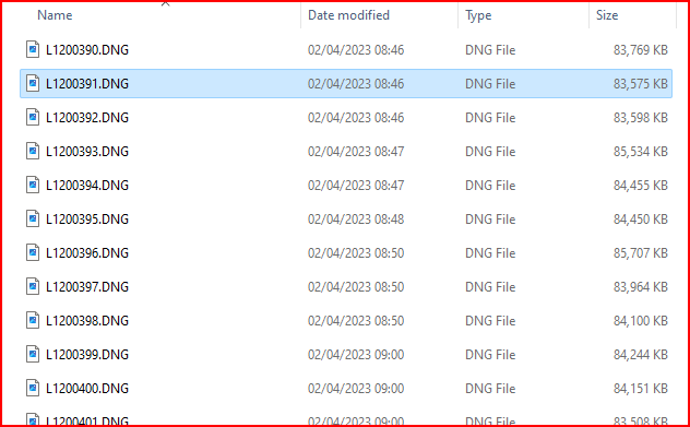 Screenshot of DNG photo files listed in Windows File Explorer with dates and sizes.