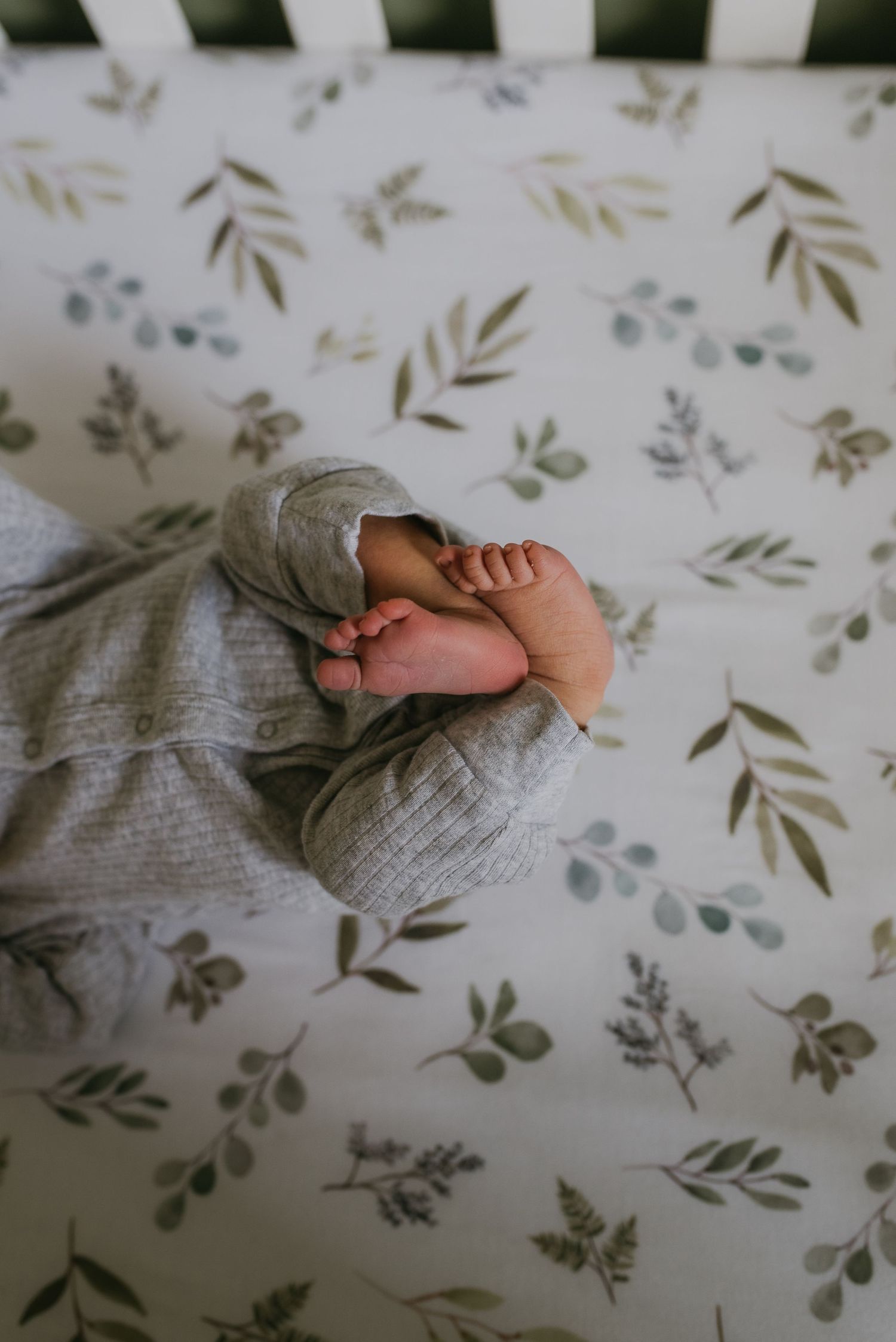 Newborn Photographer Knoxville