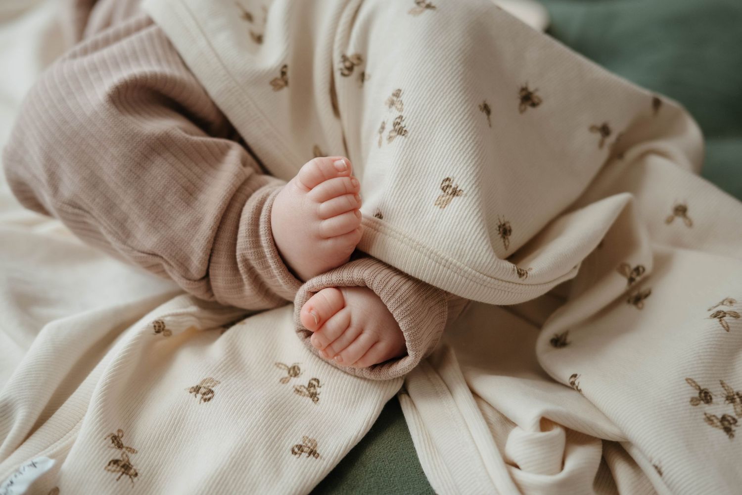 Newborn Photographer Dunedin