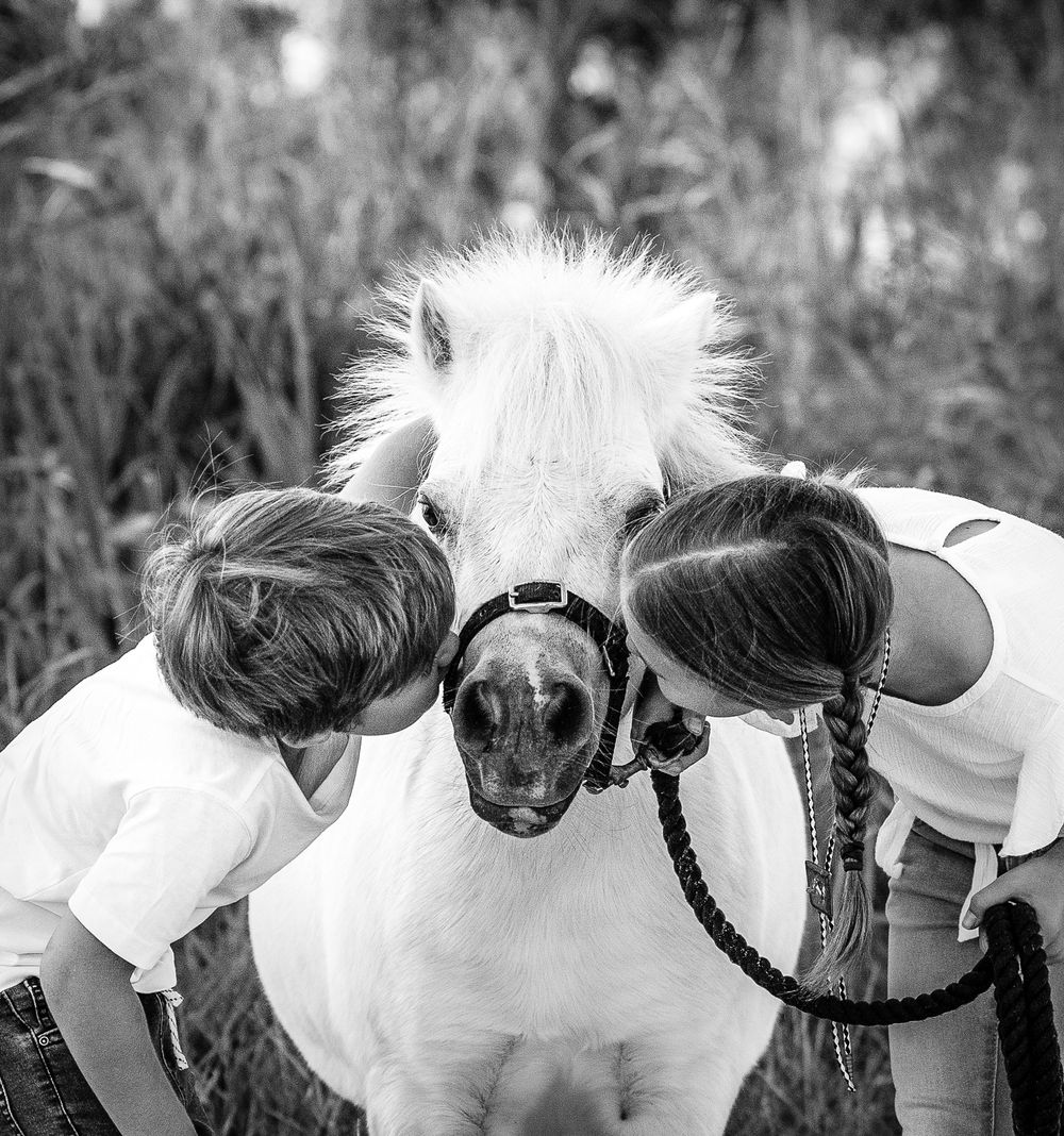 Black and white sequence showing loving interaction between horse and human.