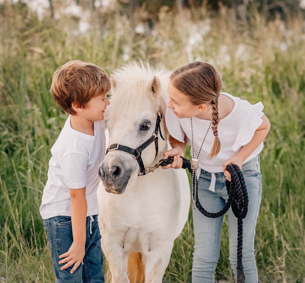 Two children petting a white pony in a sunlit meadow with tall grass.