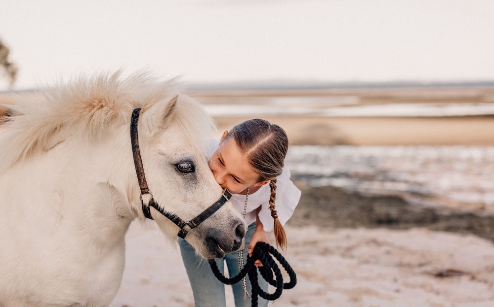 A gentle moment between a person and a white pony on a coastal beach at sunset.