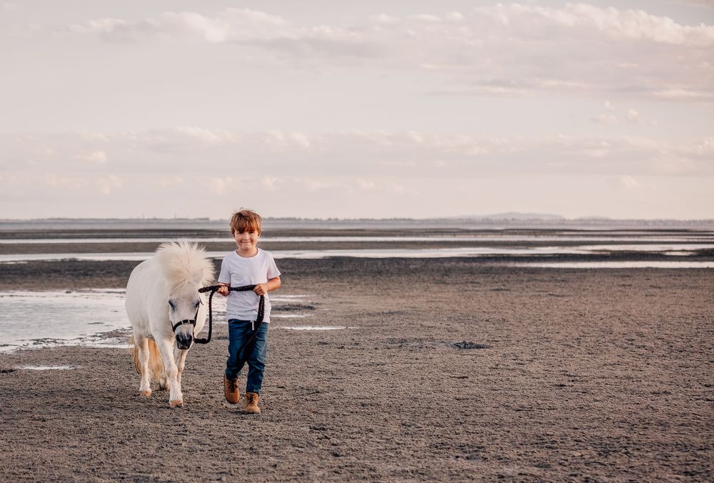 A child walking with a white pony along an empty beach at sunset.