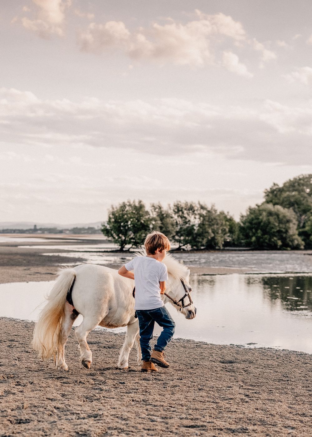 White horse and couple share a tender moment by a tranquil lake during sunset.