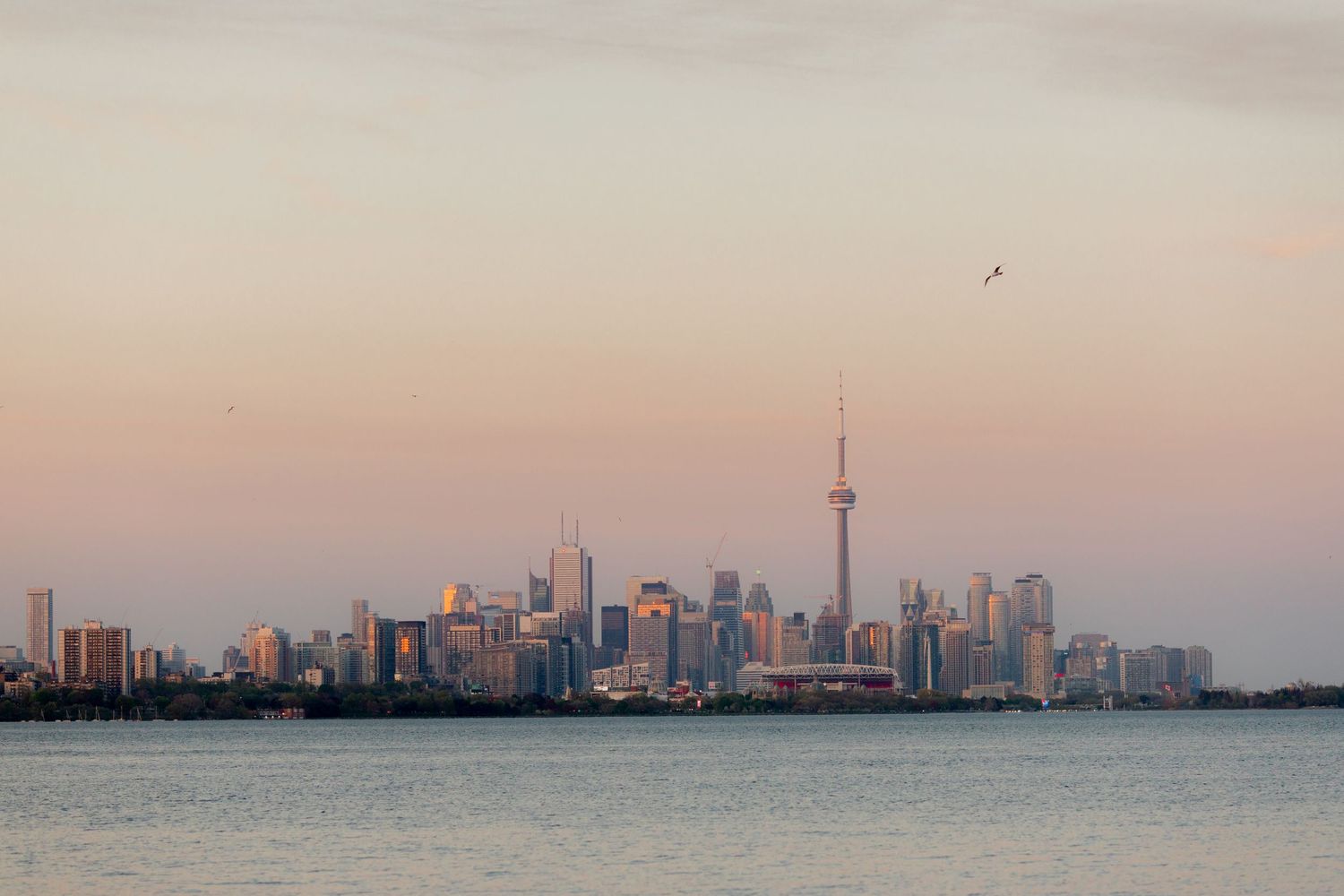 Toronto skyline at dusk with CN Tower silhouetted against pink and orange sky.