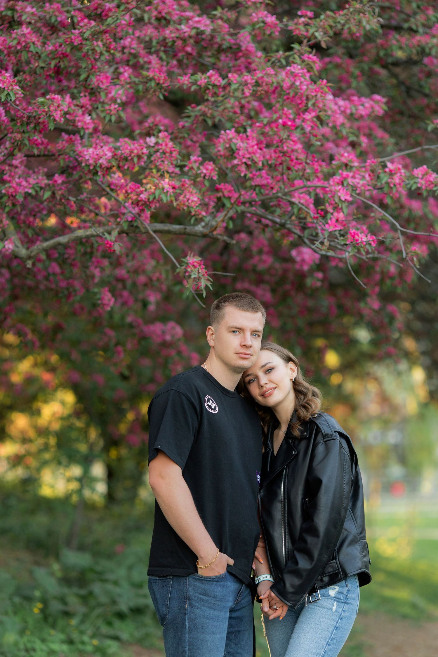 A couple embracing beneath a blooming pink cherry blossom tree in a park.