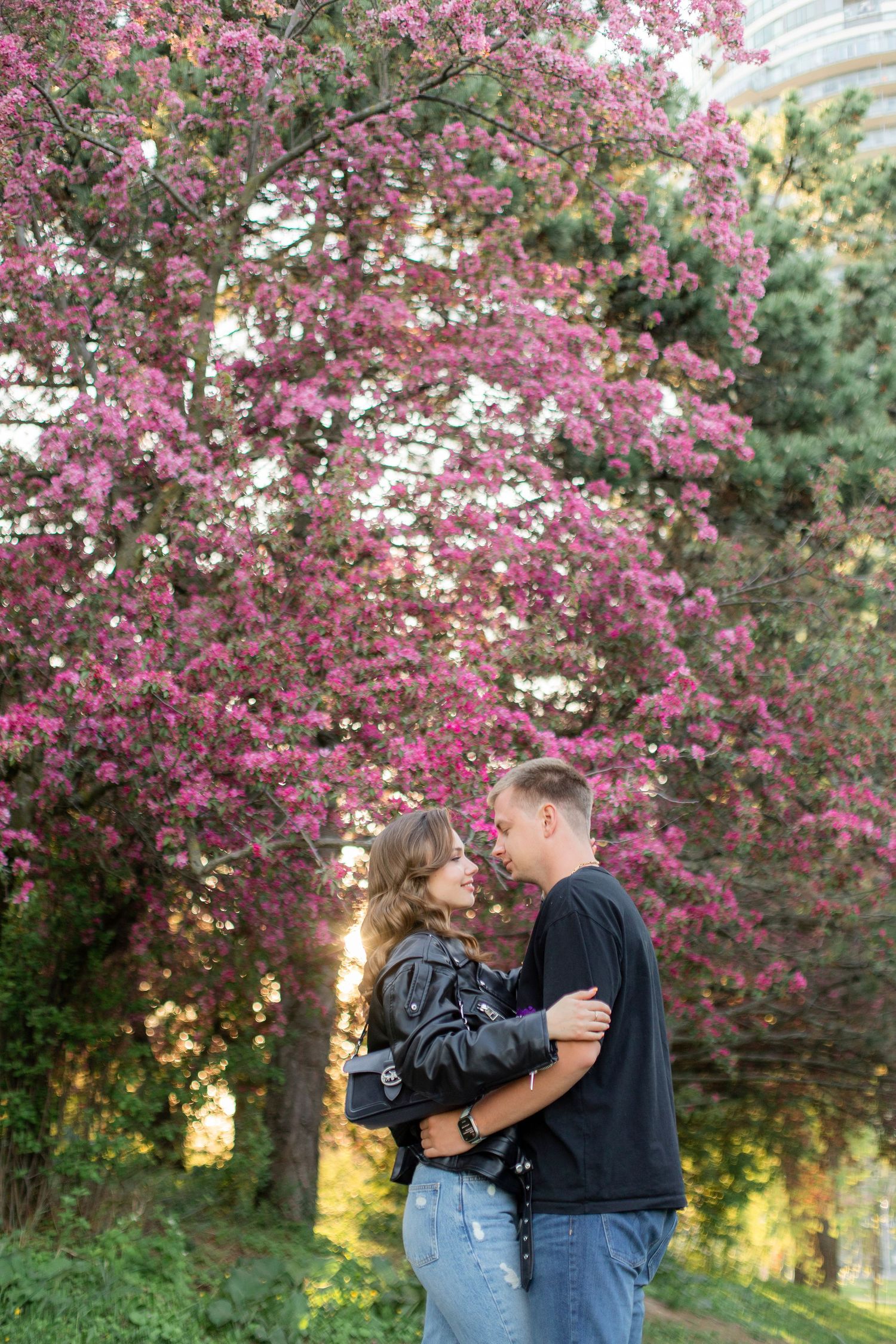 A tender embrace beneath a canopy of pink cherry blossoms during golden hour.