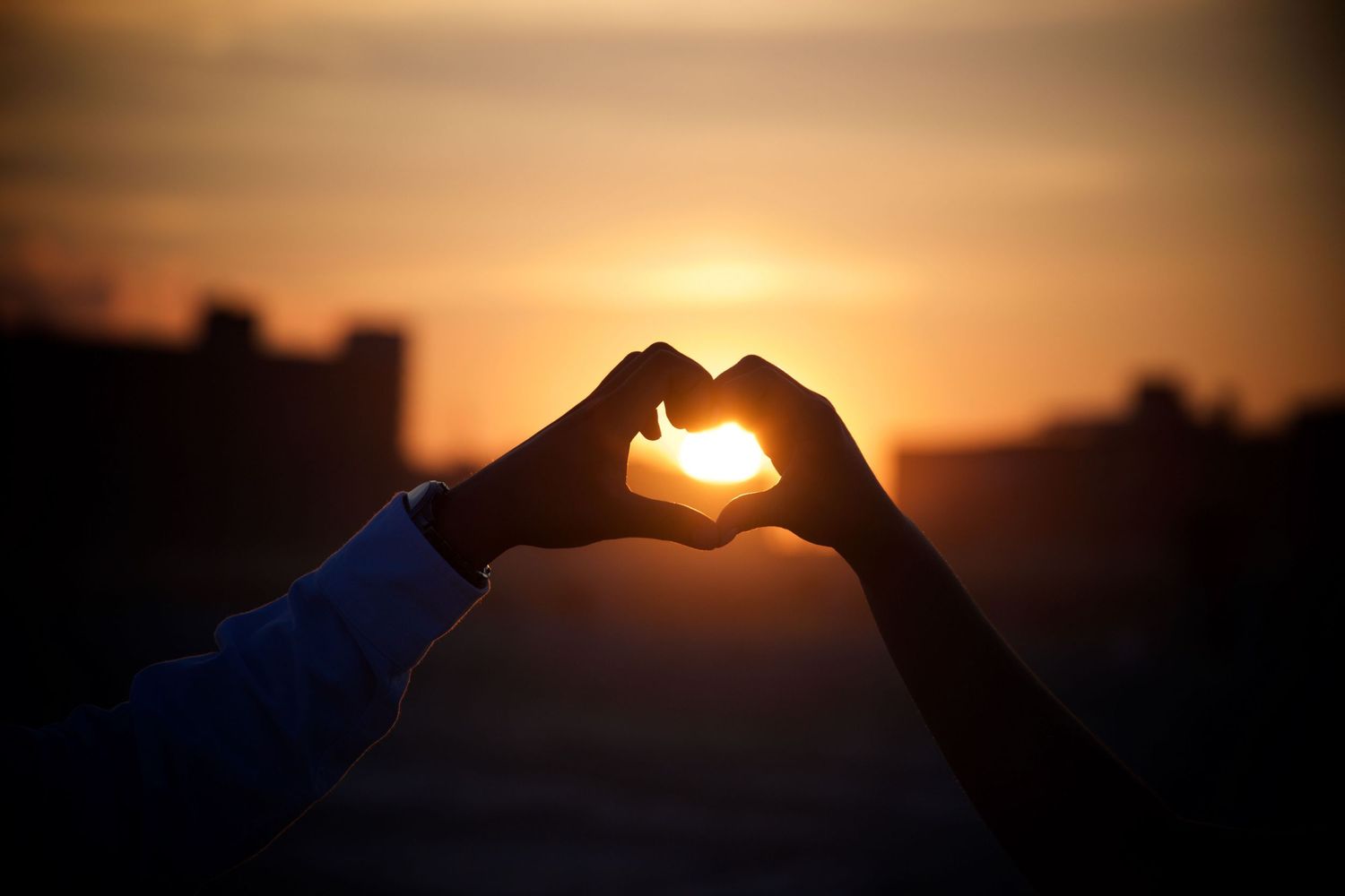 Contact Angel Sanchez