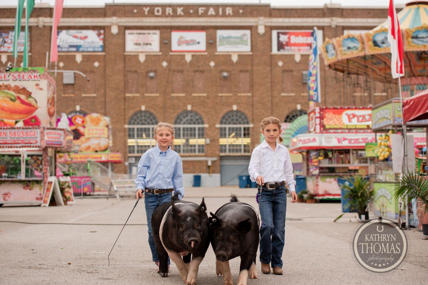 Two show pigs being exhibited outside the York Fair building.