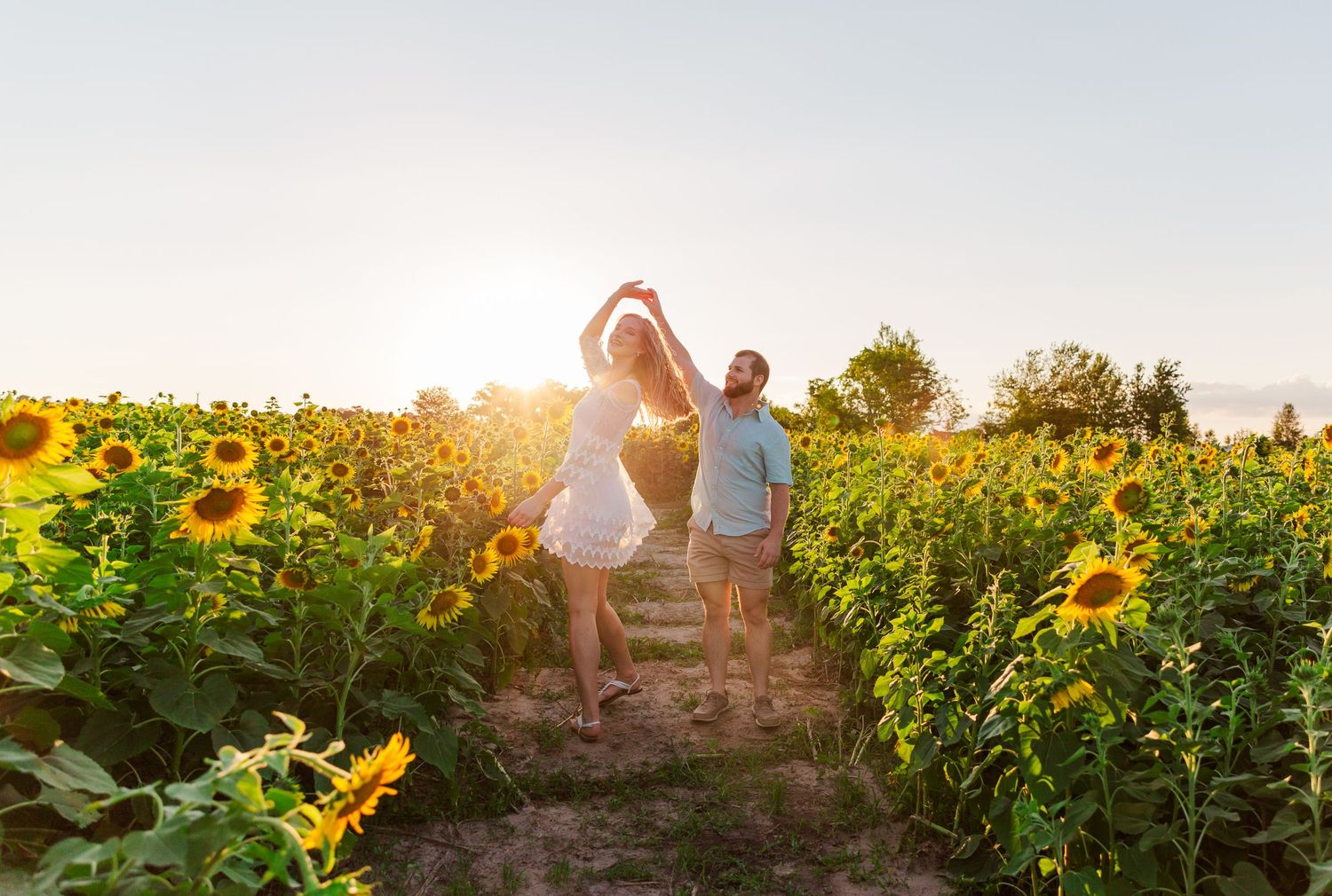 Beautiful sunflower field at sunset with silhouettes in the background.