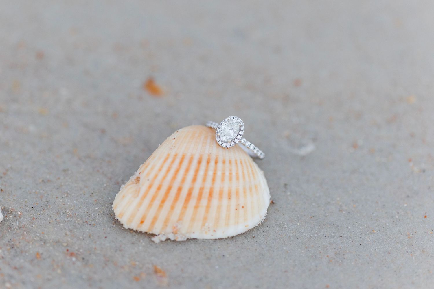 Seashells and engagement ring arranged on sandy beach.