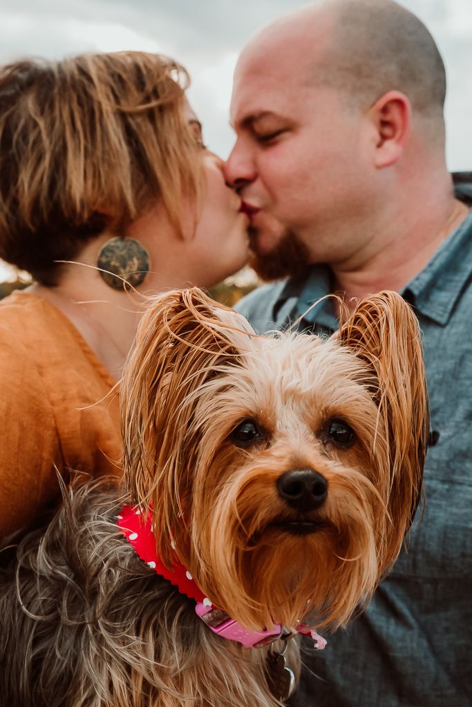Couple kissing and their dog looking