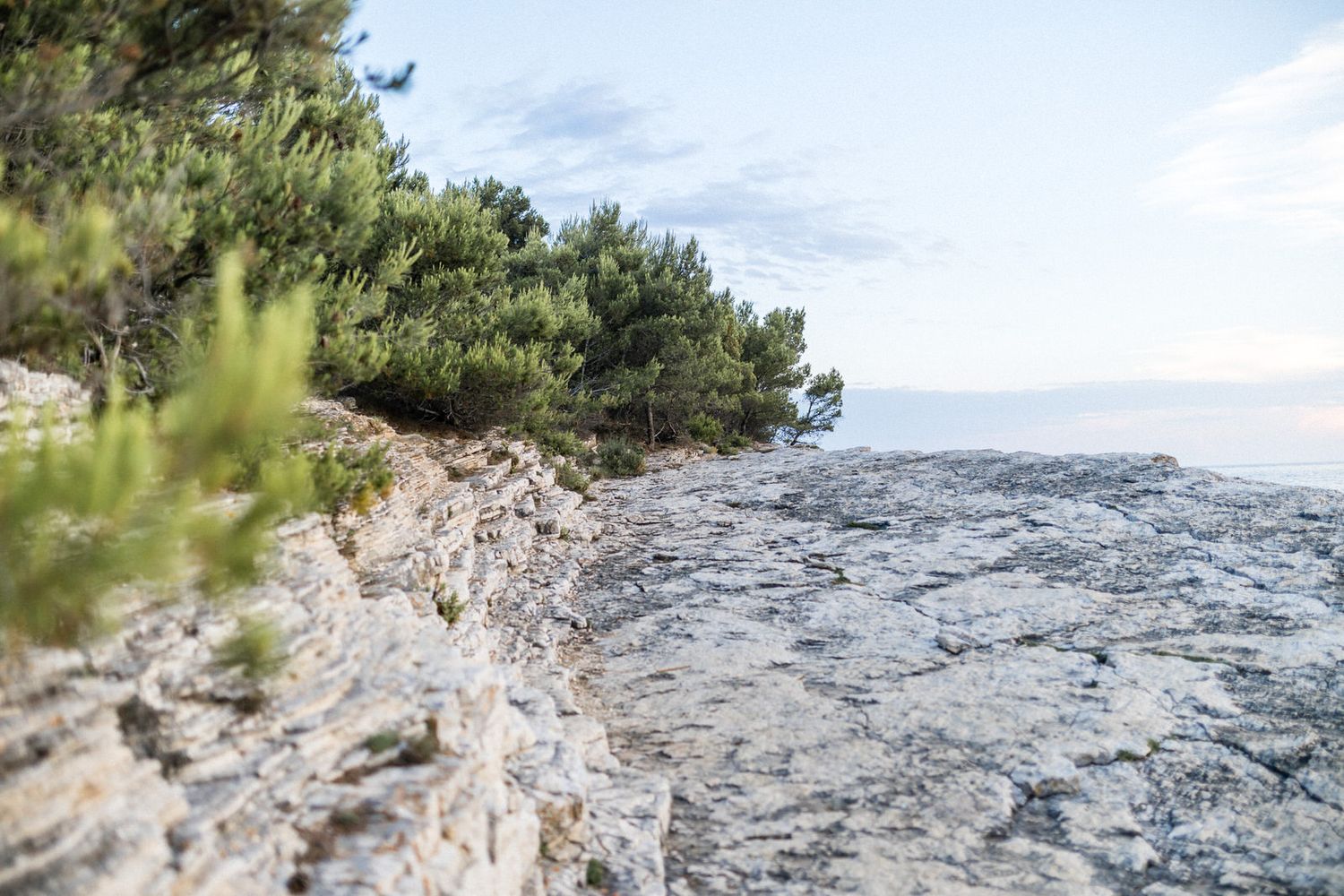 Rocky coastal landscape with pine trees overlooking the Mediterranean Sea.