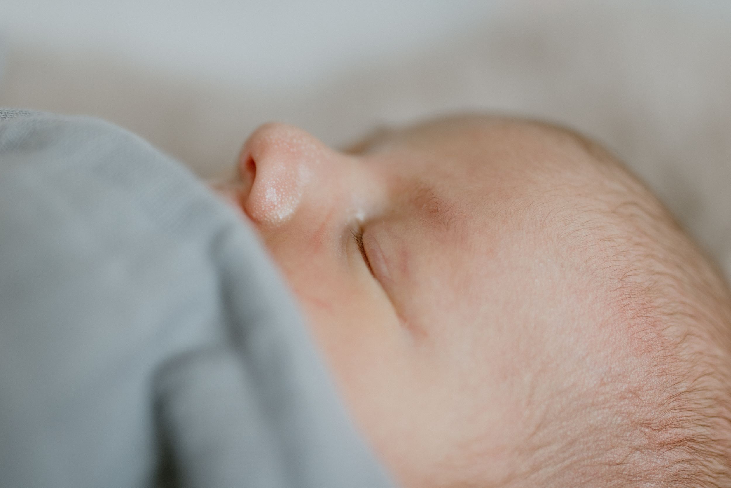 bendigo newborn photographer